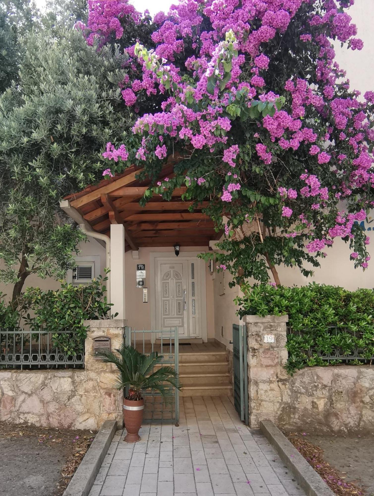 Apartments Maris Петровац Экстерьер фото